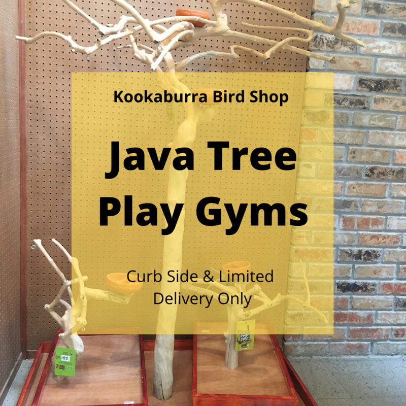 Kookaburra's Online Store Michelle Beckley