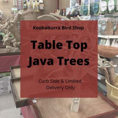 Table Top Java Trees for Parrots