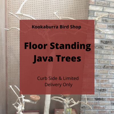 Floor Standing Java Trees for Parrots