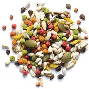 2 lbs Medium Sensible Seeds