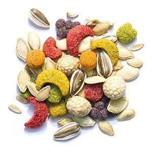 2 lbs Large Bird Sensible Seed