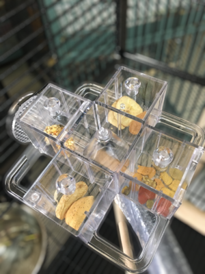 Foraging Carousel Foraging Carousel