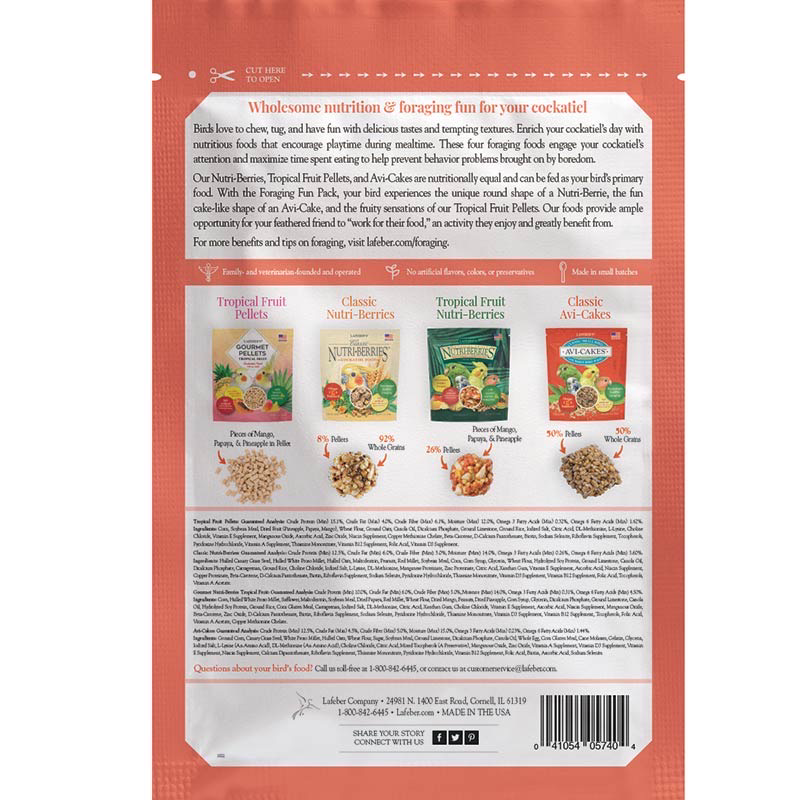 Cockatiel Foraging Fun Pack