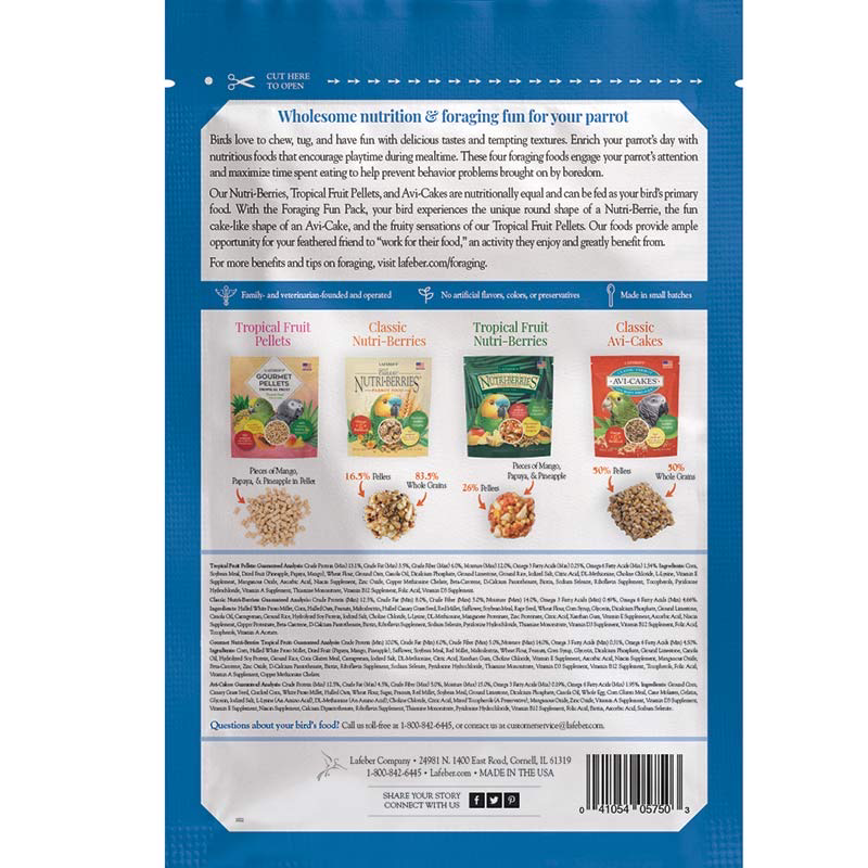 Parrot Foraging Fun Pack