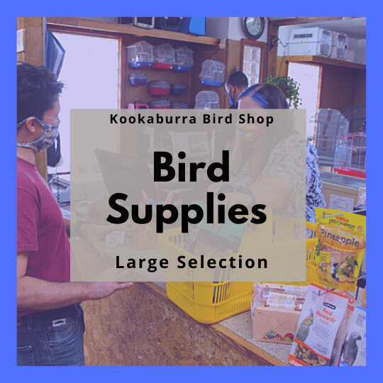 Bird Supplies