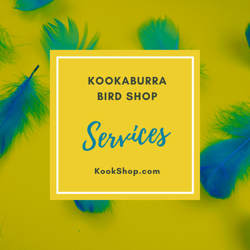 Services