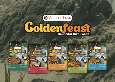 Goldenfeast Bird Food