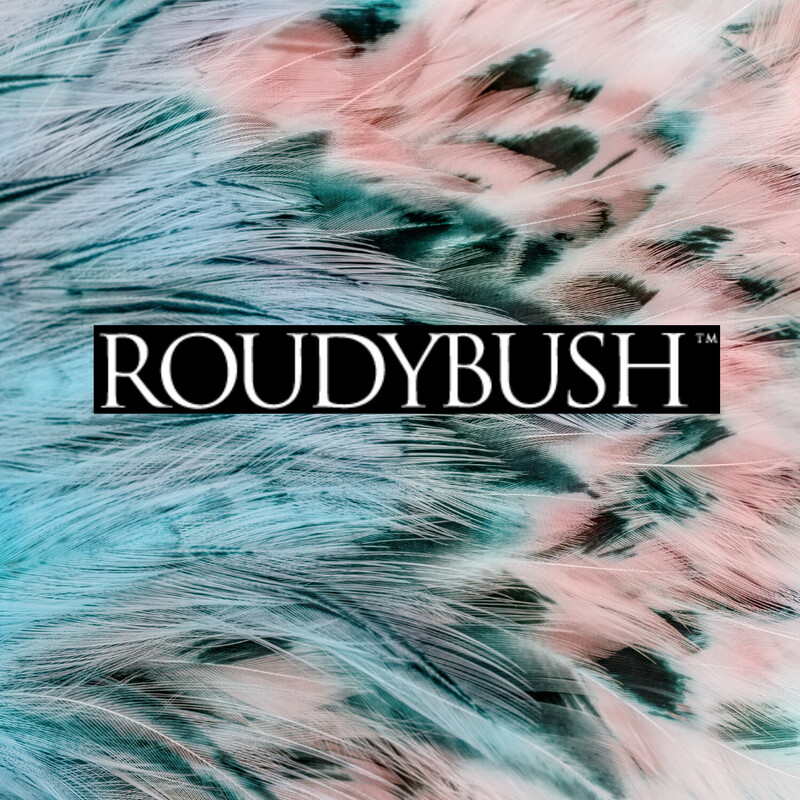 Roudybush Bird Food