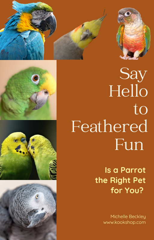 Say Hello to Feathered Fun - Is a Parrot the Right Pet for You?