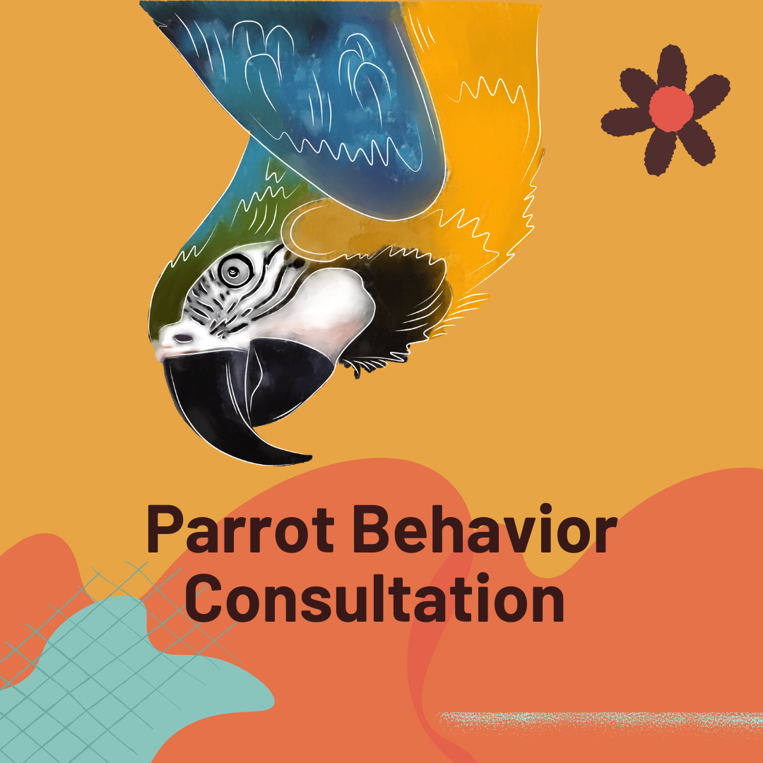 Parrot Behavior Consultation