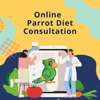 Parrot Diet Consultation