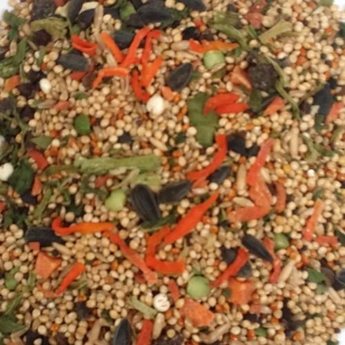 2lb Parakeet Rainforest