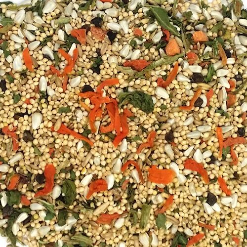 2lb Cockatiel n/Sun V.E.