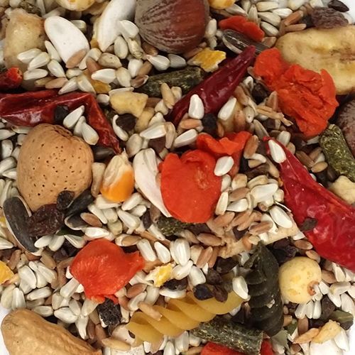 6lb Parrot RainForest