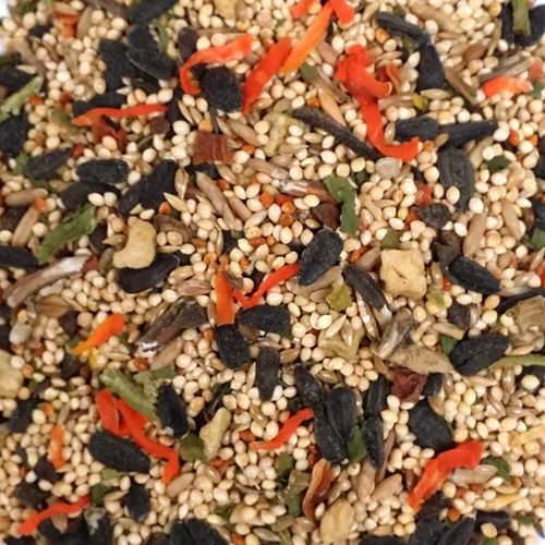 4 lb Parakeet McBride's