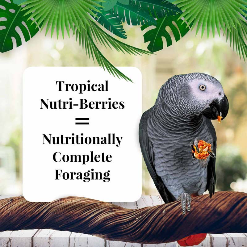 10 oz Parrot Tropical Fruit Nutri-Berries