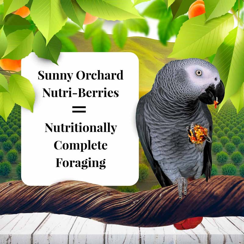 3 Lb Parrot Sunny Orchard Nutri-Berries