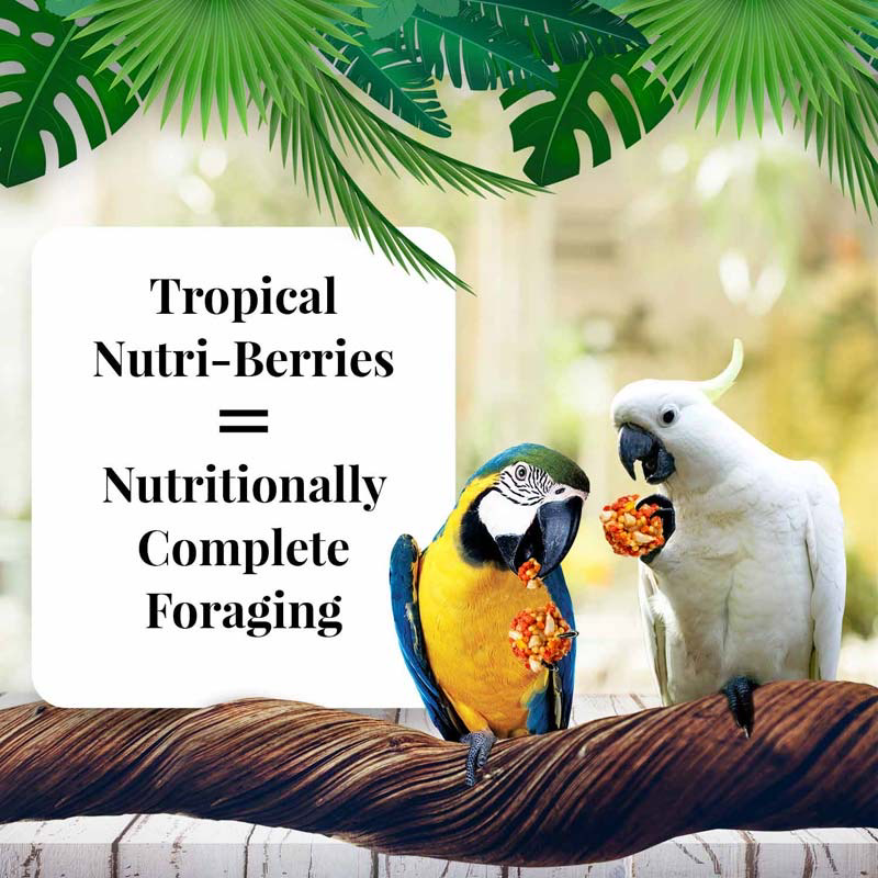 10 oz Macaw Tropical Fruit Nutri-Berries