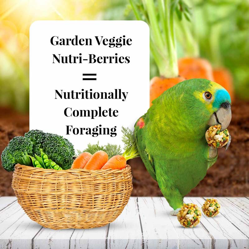 10 oz Parrot Garden Veggie Nutri-Berries