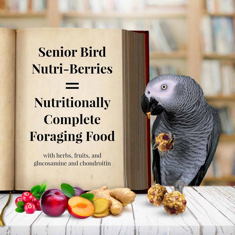 10 oz Parrot Senior Nutri-Berries