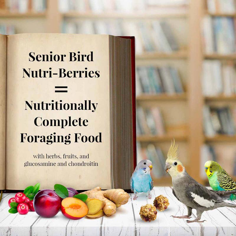 10 oz Cockatiel Senior Nutri-Berries