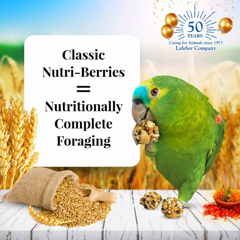3.25 Lb Parrot Nutri-Berries