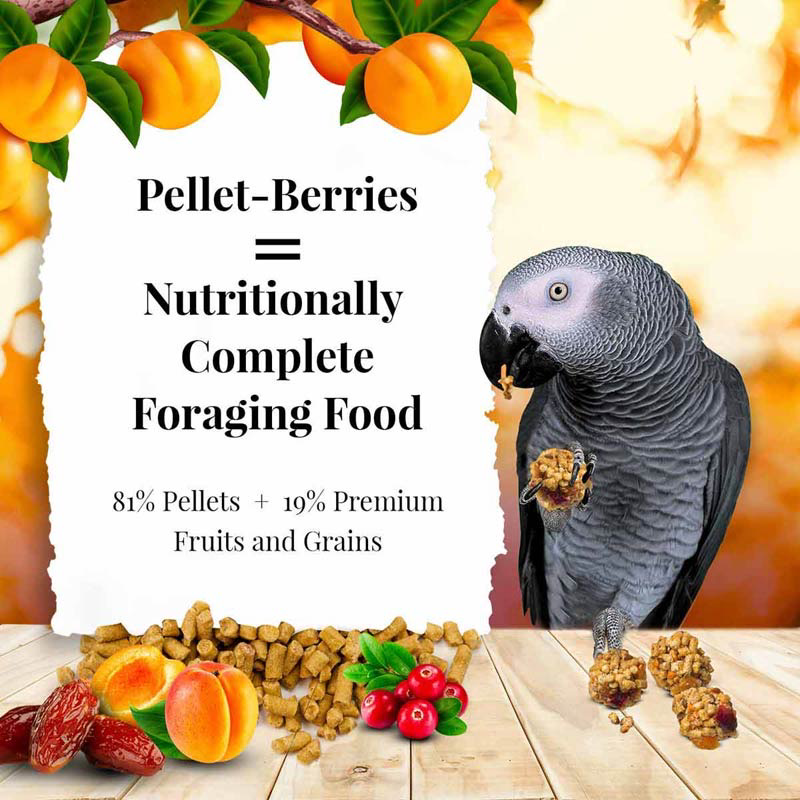 10 oz Parrot Pellet-Berries