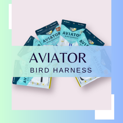 Aviator Bird Harness