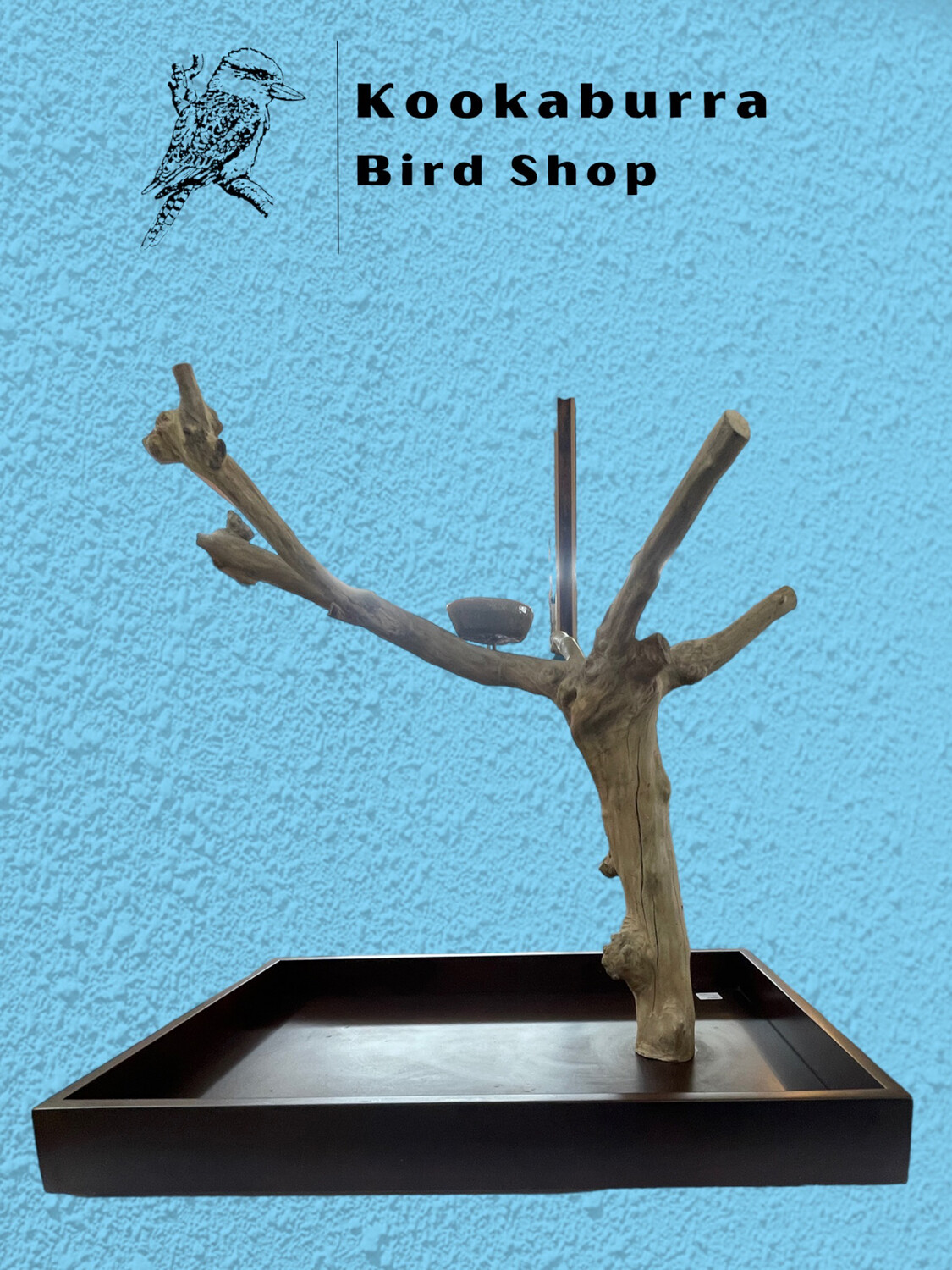 Large Table Top Java Tree