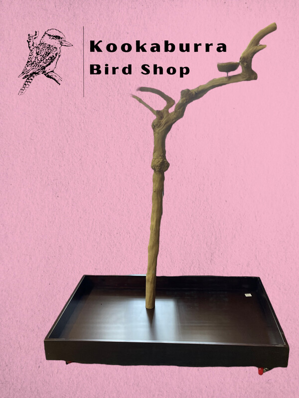 Small Floor Standing Java Tree