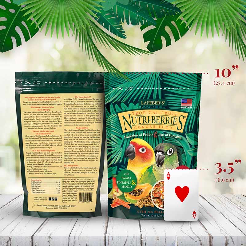 10 oz Conure Tropical Fruit Nutri-Berries