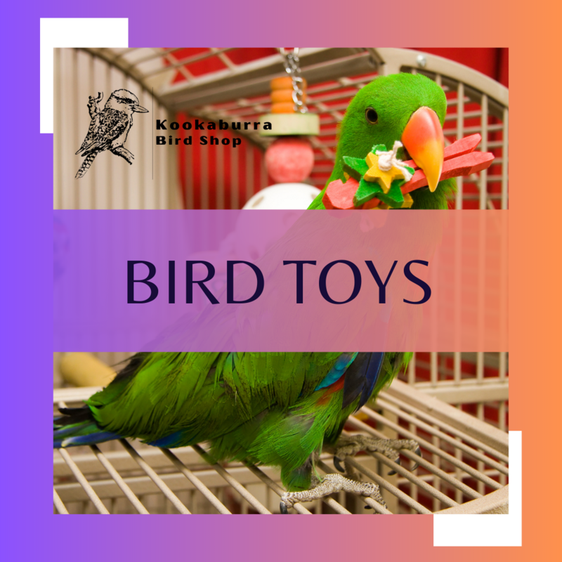 Bird Toys