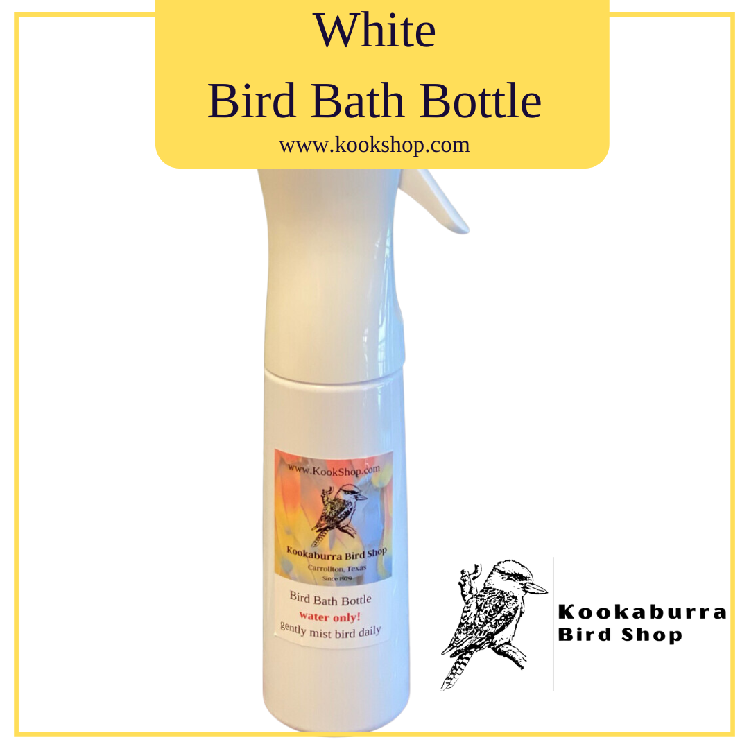 Bird Bath Bottle