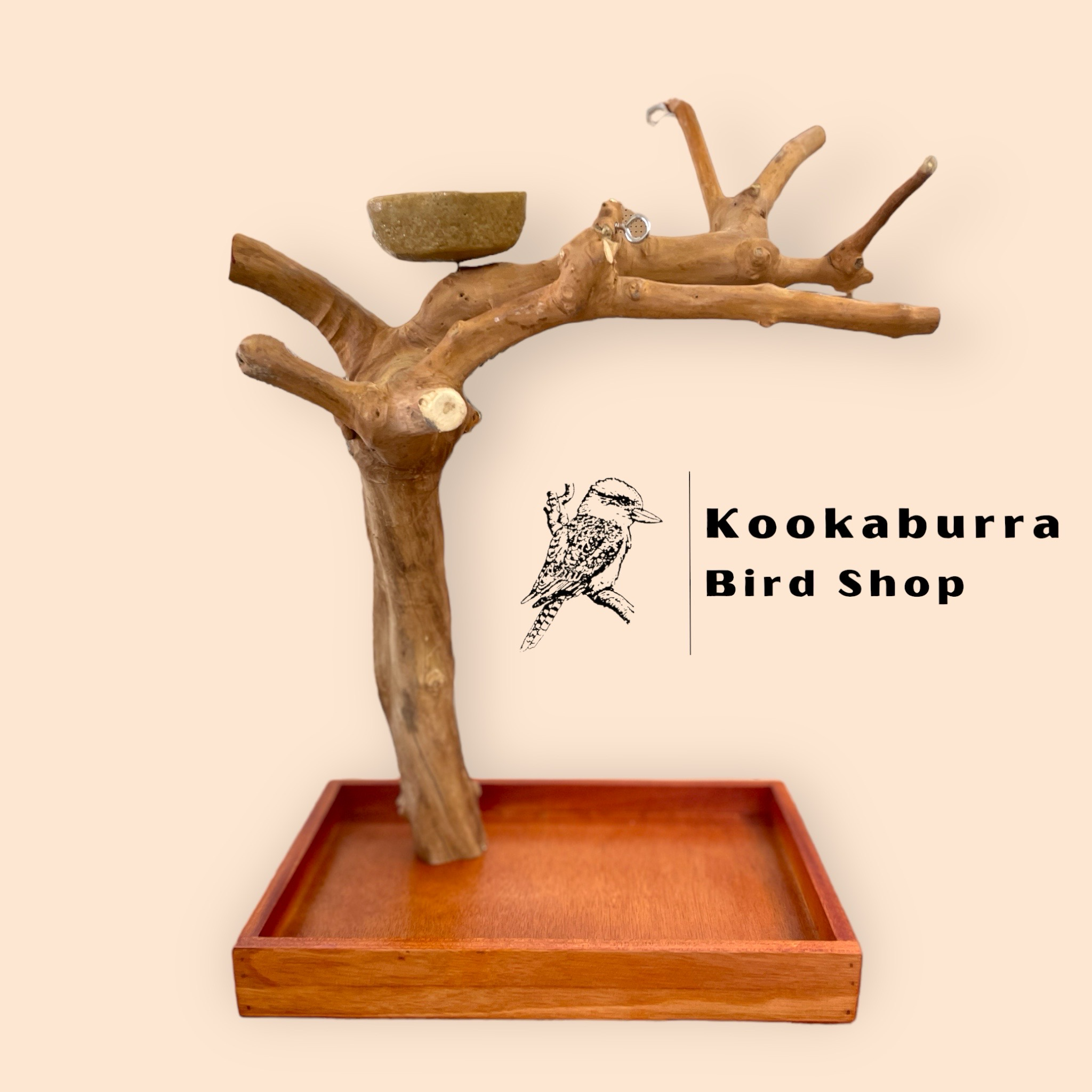 Birds for Adoption AKA SecondHand Birds Kookaburra Bird Shop, LLC