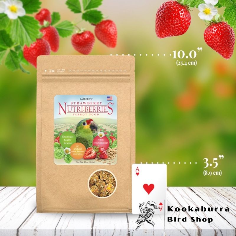 10 oz Parrot Strawberry Nutri-Berries (Limited Edition)