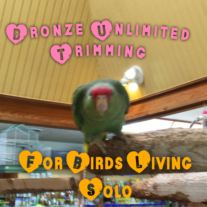 2026 Bronze Unlimited Trimming Plan - Single Bird Household 2026 Bronze Unlimited Trimming Plan - Single Bird Household