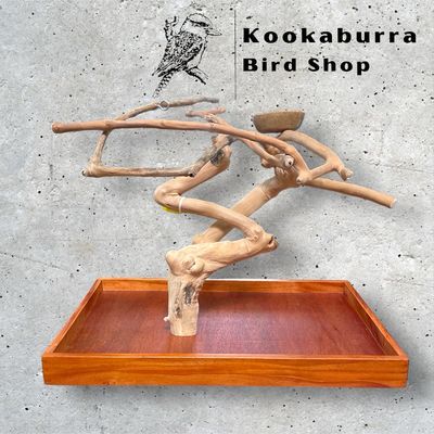 Table Top Java Trees for Parrots