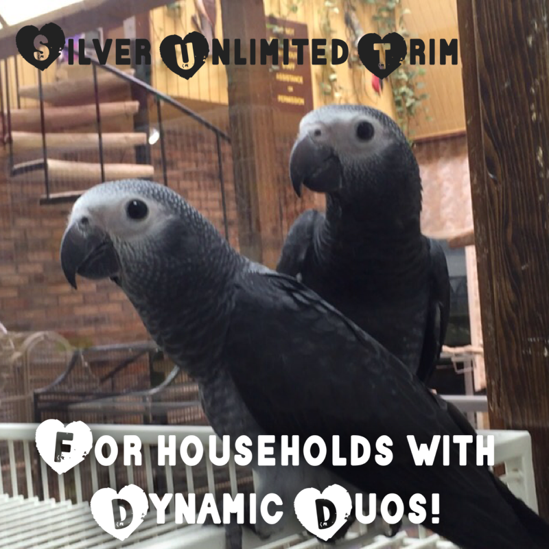 2026 Silver Unlimited Trimming Plan - Two Bird Household 2026 Silver Unlimited Trimming Plan - Two Bird Household