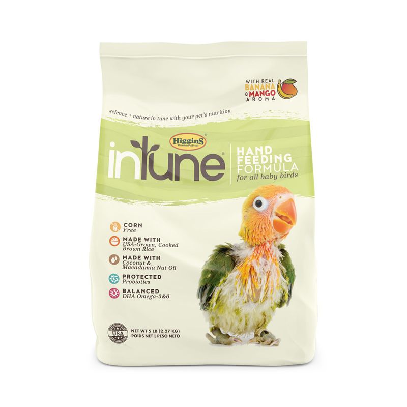 5lbs Intune Hand Feeding Regular
