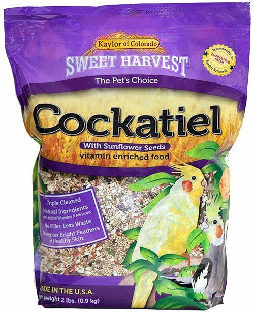 4lb Cockatiel w/Sun V.E.