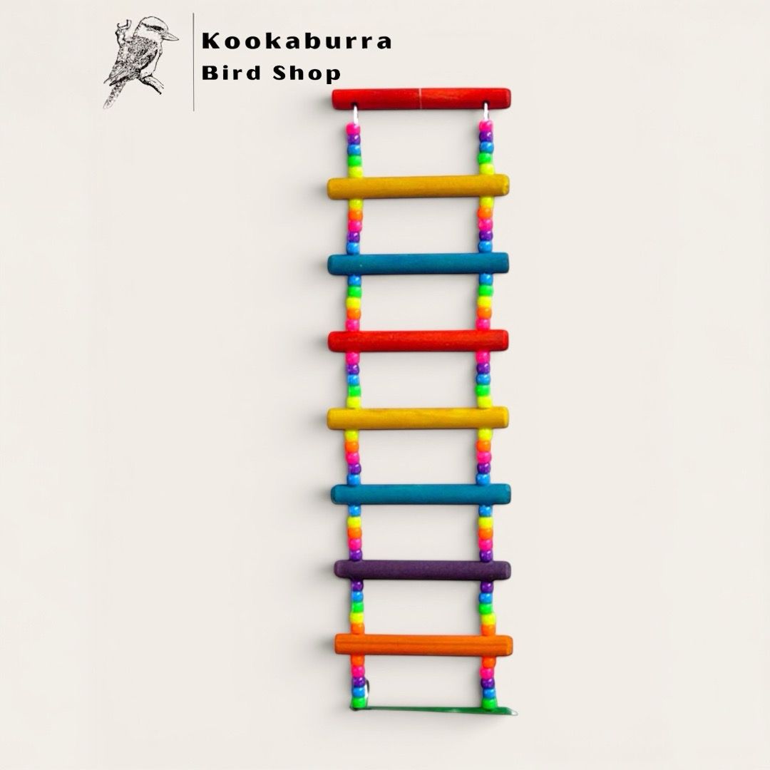 Pony Beads Ladder (15