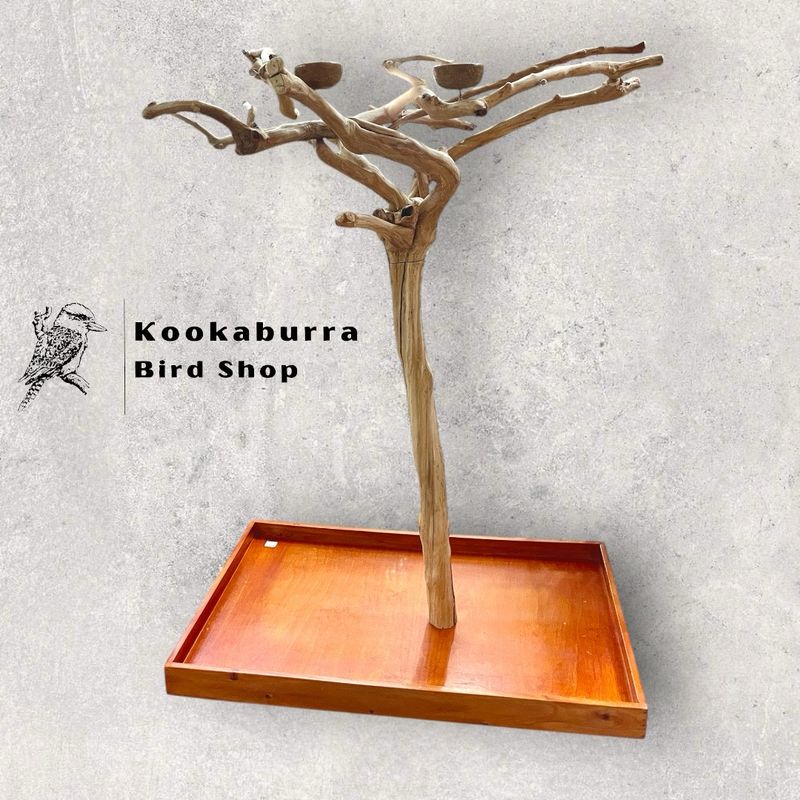 Small Floor Standing Java Tree