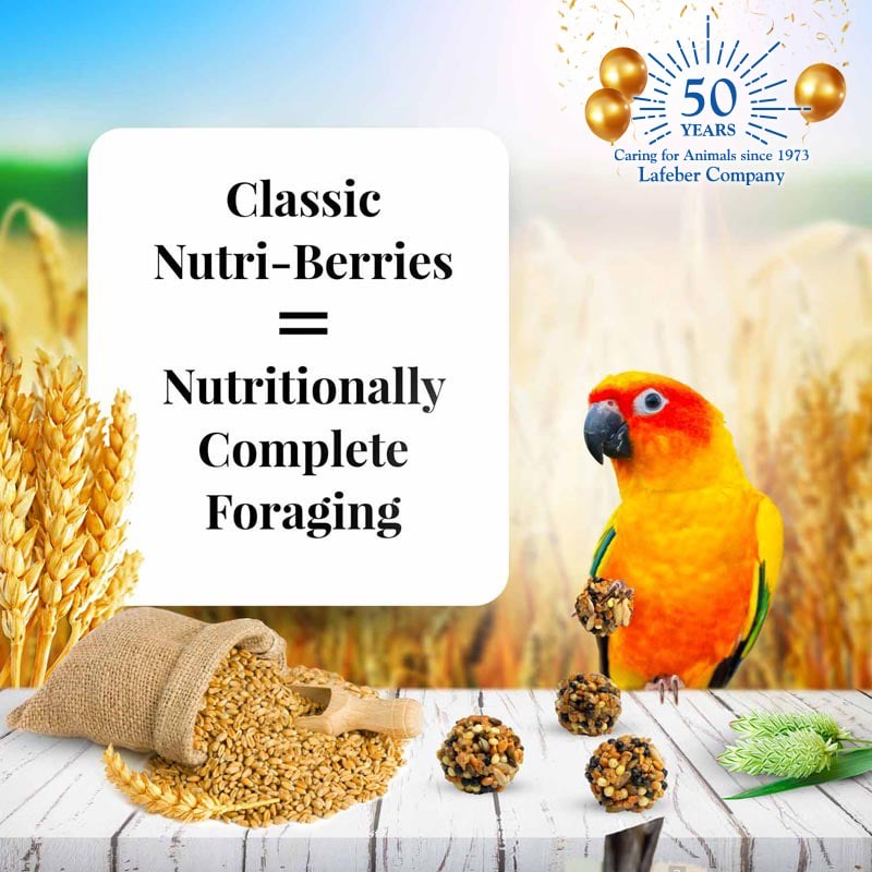 10 oz Conure Classic Nutri-Berries