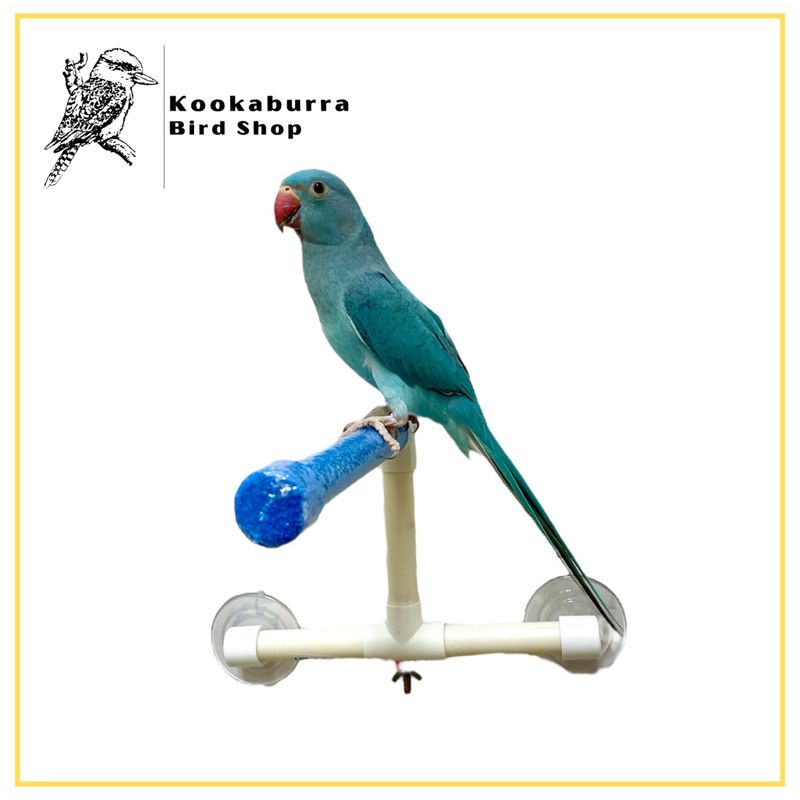 Small Shower Perch