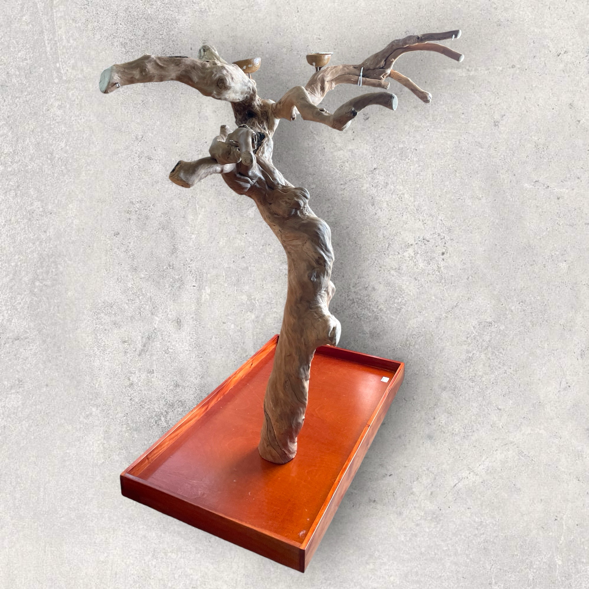 Large Floor Standing Java Tree