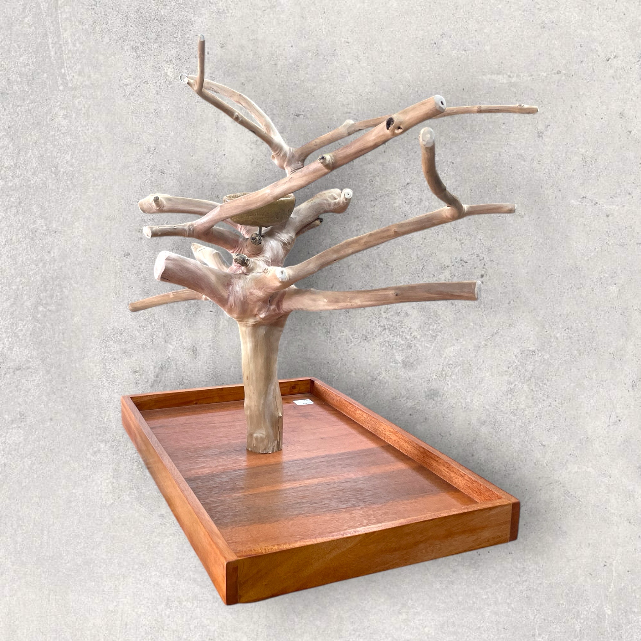 Medium Table Top Java Tree