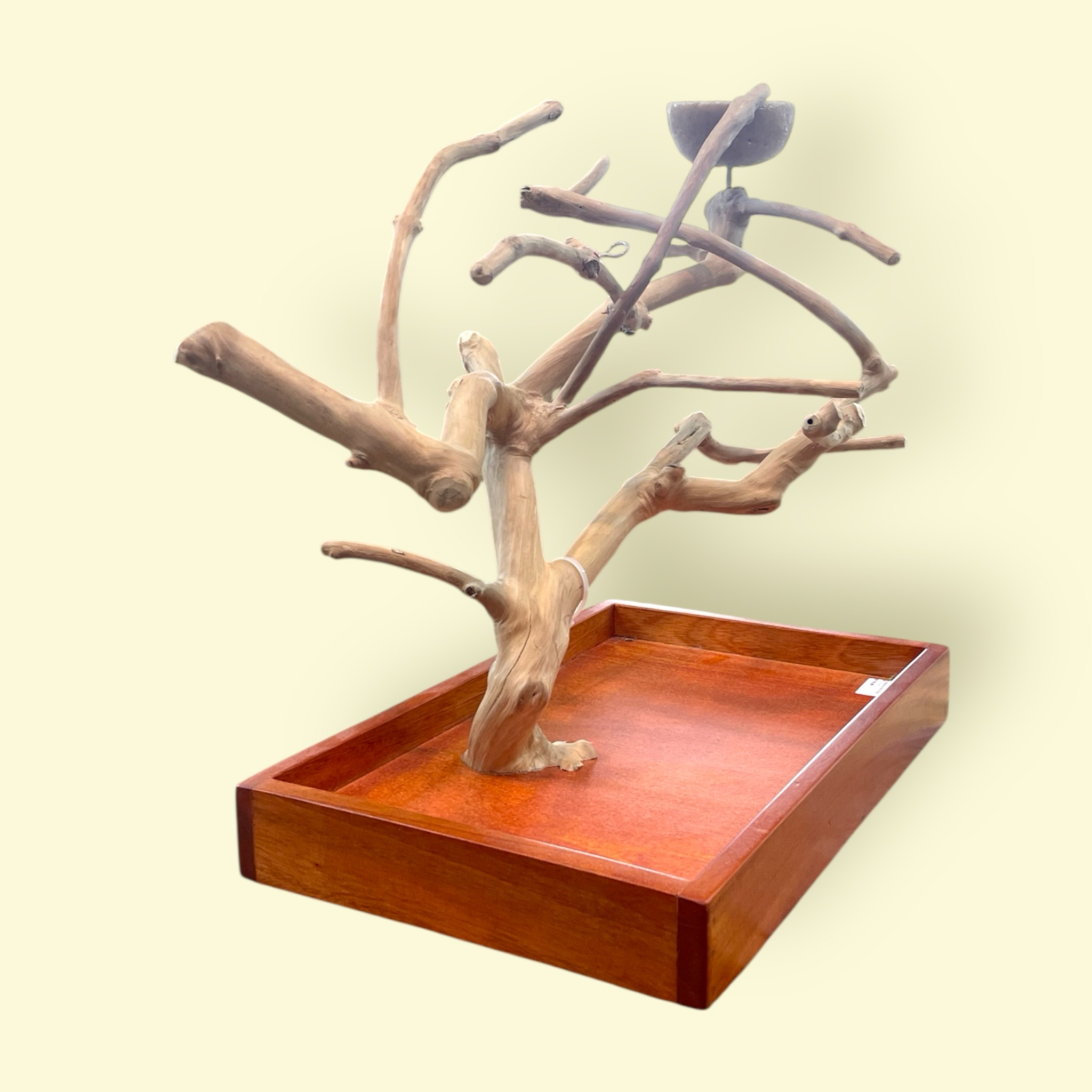 Small Table Top Java Tree