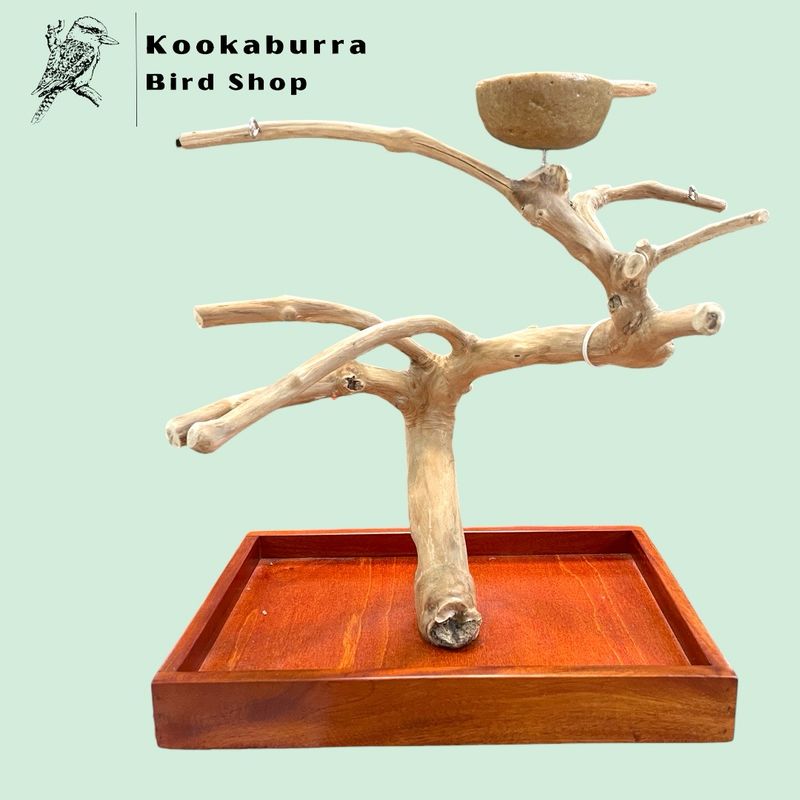 Small Table Top Java Tree