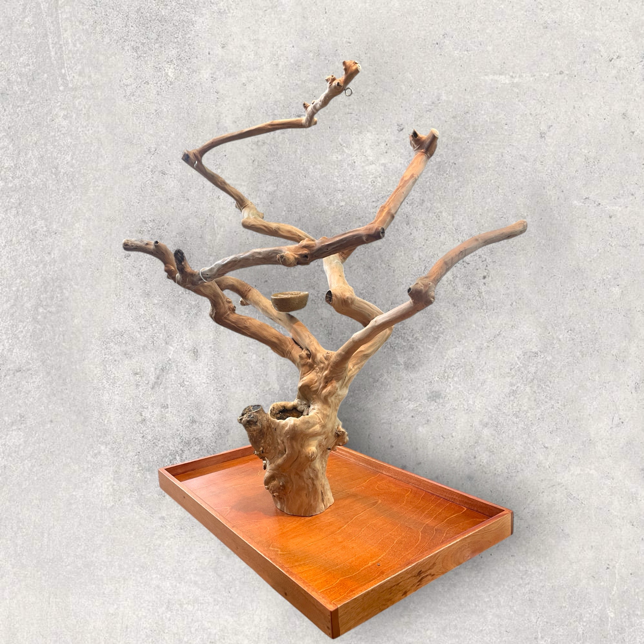 Large Table Top Java Tree