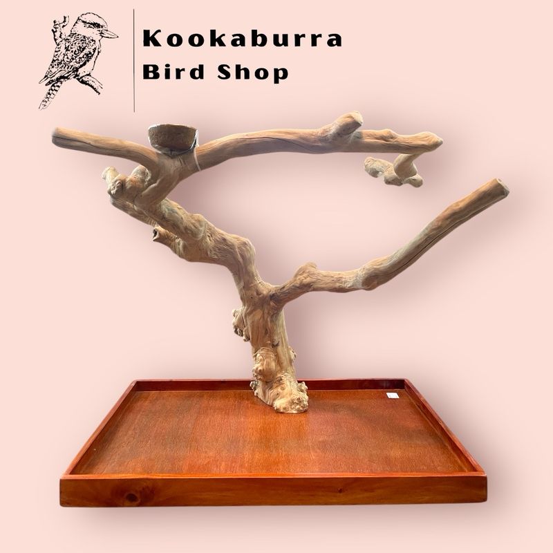 Large Table Top Java Tree